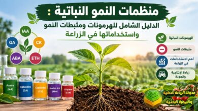 منظمات النمو النباتية: الدليل الشامل للهرمونات ومثبطات النمو واستخداماتها في الزراعة