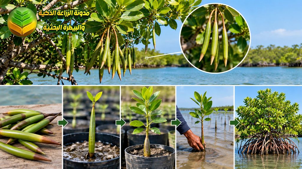 التكاثر بالـ Propagules