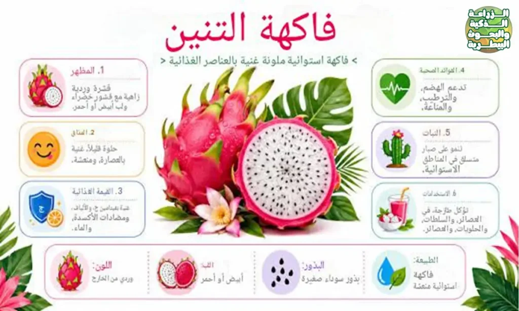 لماذا أصبحت زراعة فاكهة التين فروت محط اهتمام المزارعين؟