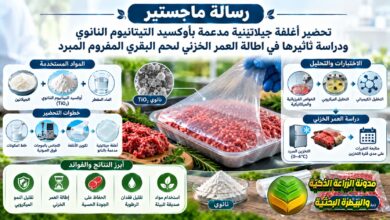 التغليف الحيوي للحوم بأوكسيد التيتانيوم النانوي: دراسة أكاديمية وتطبيقية للصناعات الغذائية