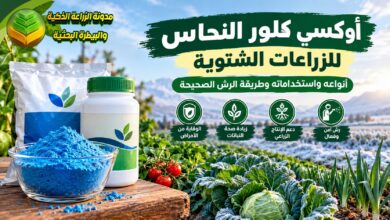 أوكسي كلور النحاس للزراعات الشتوية: أنواعه واستخداماته وطريقة الرش الصحيحة