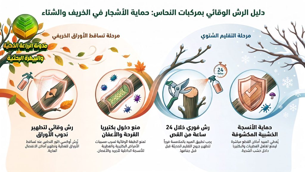 رش أوكسي كلور النحاس في الشتاء