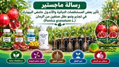 دراسة أكاديمية عن تأثير المستخلصات النباتية والأندول بيوترك في تجذير ونمو عقل الرمان