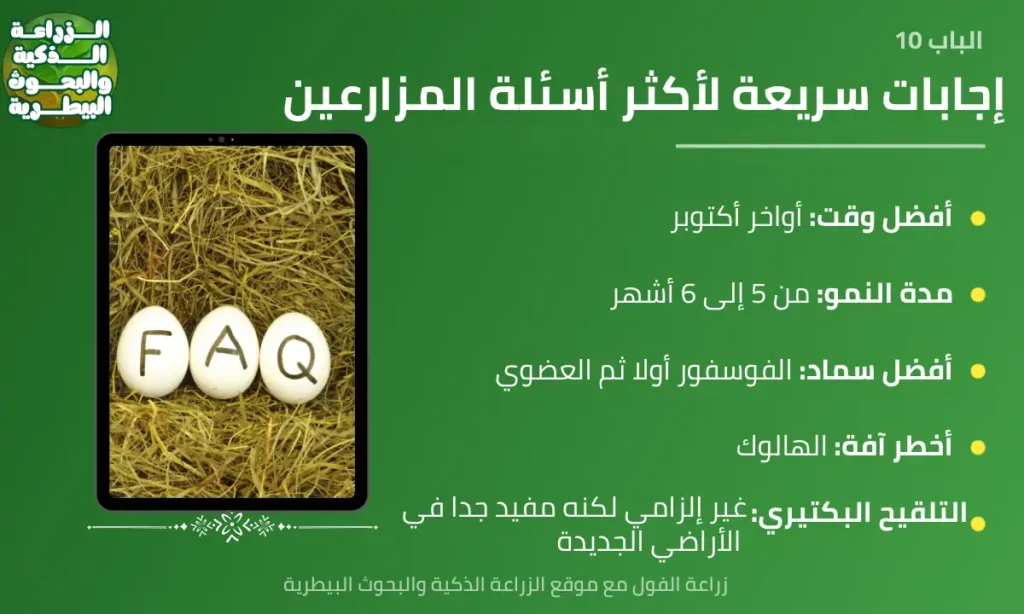 الأسئلة الشائعة