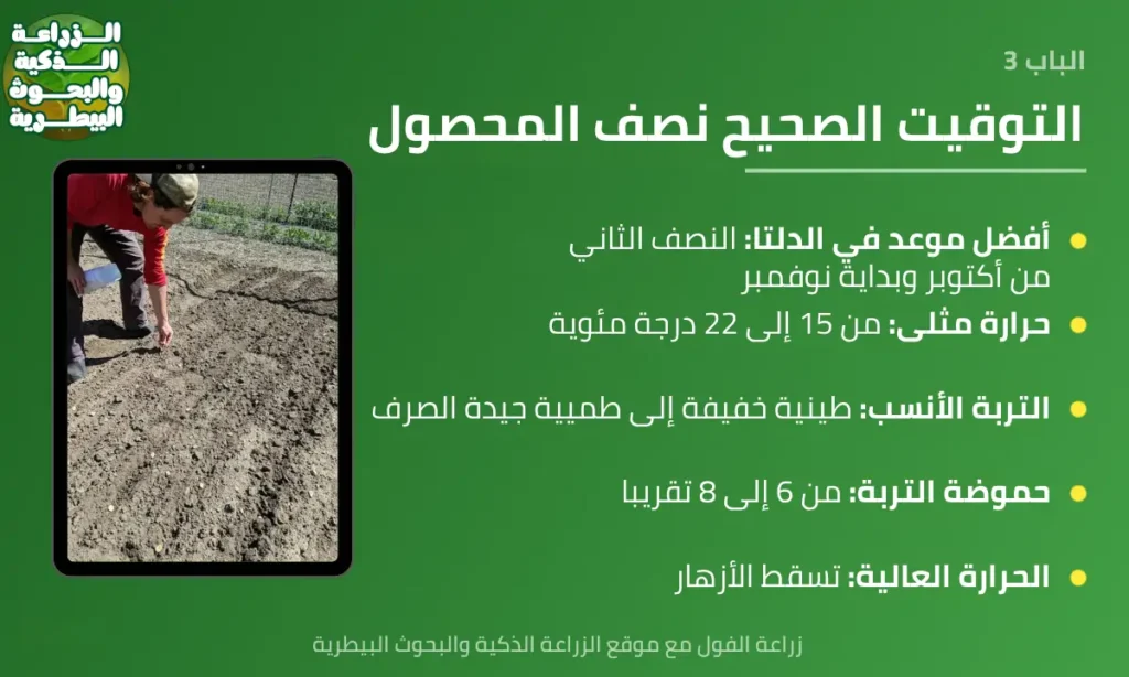 الباب الثالث: ما أفضل وقت لزراعة الفول ومتى يبدأ الموسم؟