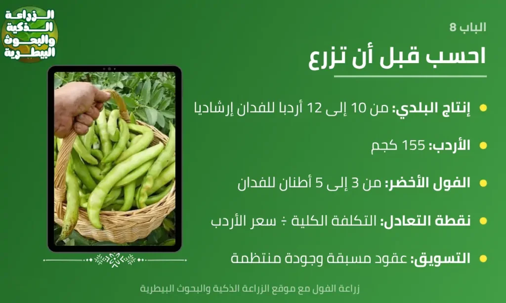 إنفوجرافيك عن الإنتاجية والتكلفة والجدوى