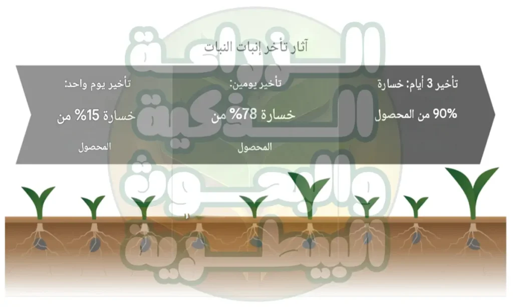 تأثير التبكير والتأخير على المحصول